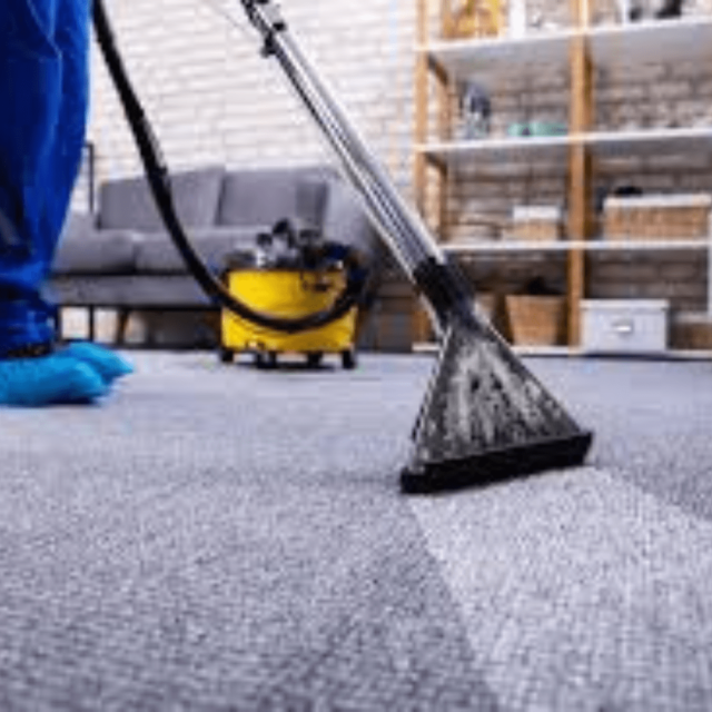 deluxe home cleaning service