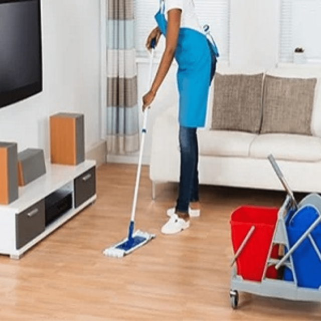 Standard Home Cleaning Service